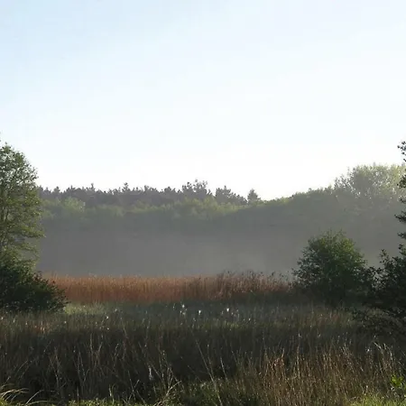 Holiday Am Schweriner See - Dms01012-byb Flessenow